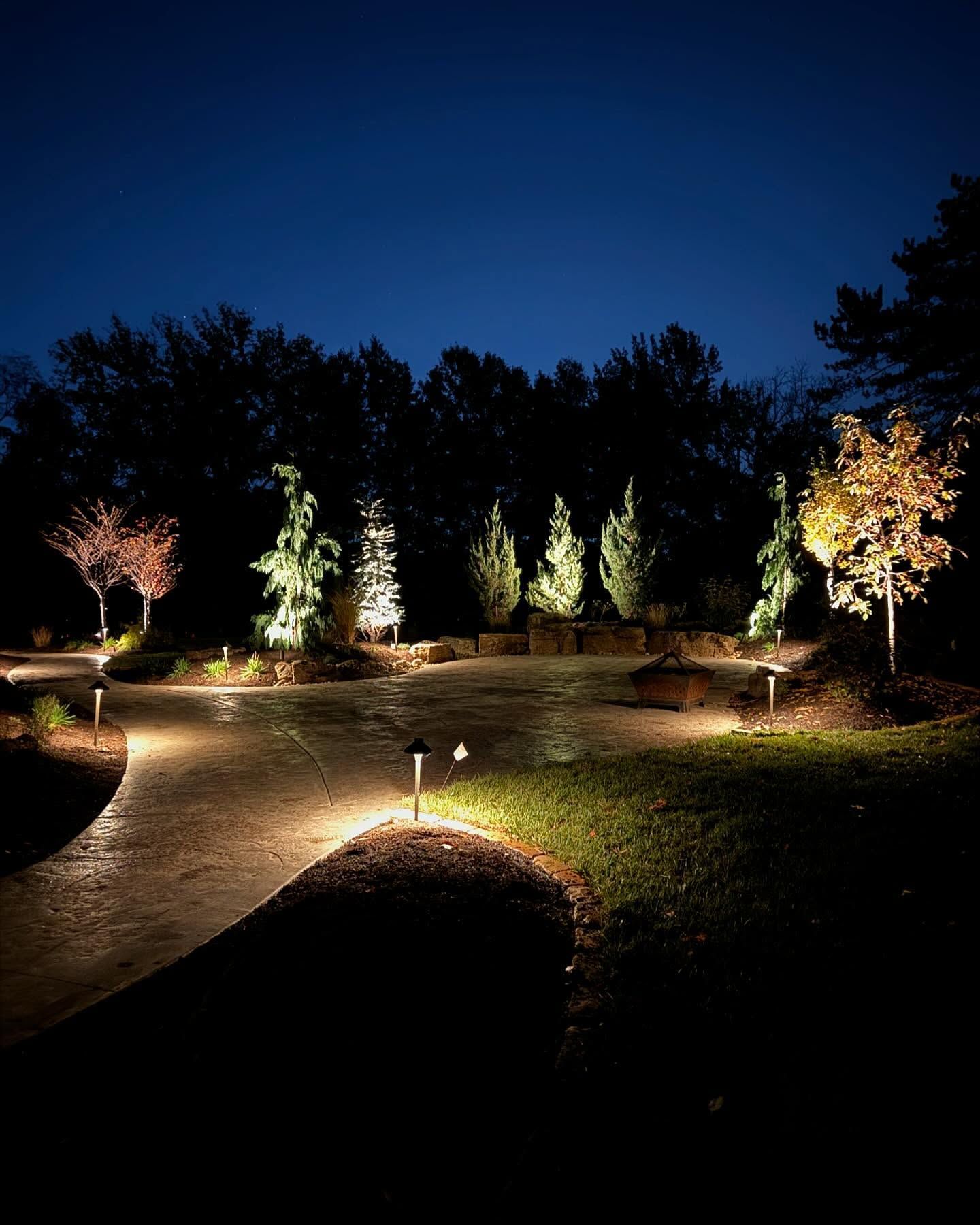 Pathway lit by spotlights at night, illuminating trees and a dark, wooded landscape.