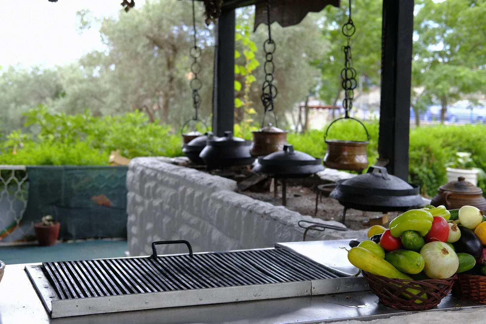 Outdoor cooking area with a grill, cooking pots, and a basket of colorful vegetables. Trees and foliage are in the background.