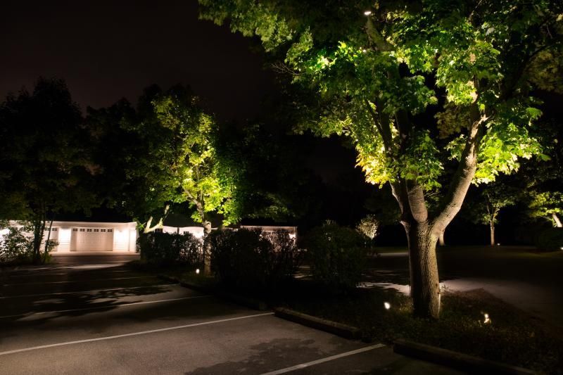 The trees are lit up at night in front of a house.