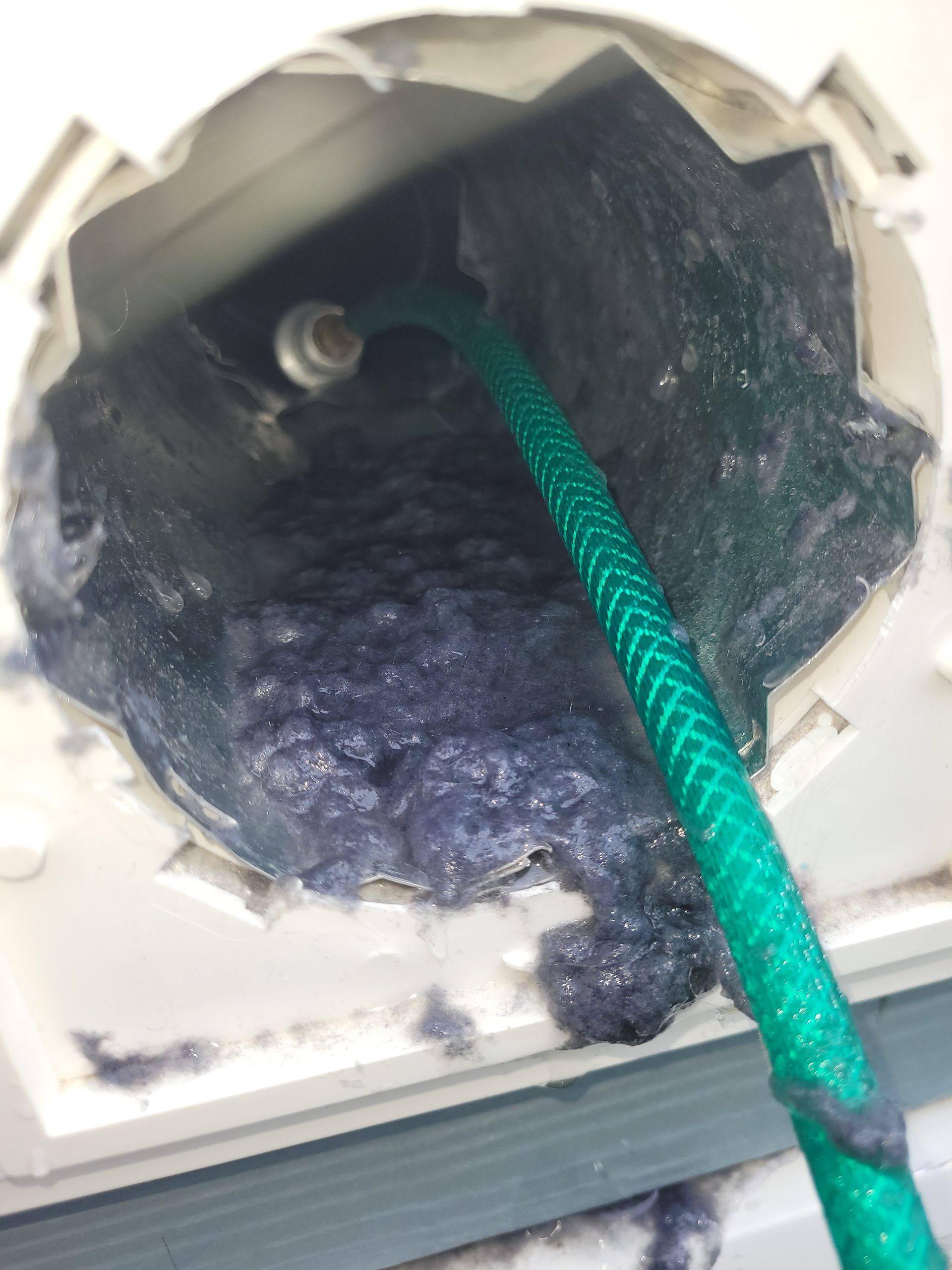 A clogged dryer vent filled with purple lint; a green hose is inserted for cleaning.