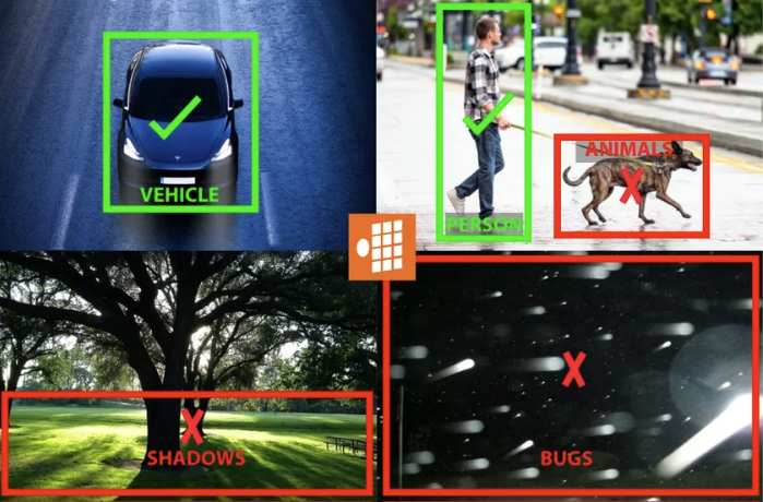 Four scenes: vehicle, pedestrian with dog, shadows, and bugs; each highlighted with bounding boxes and check/X marks.