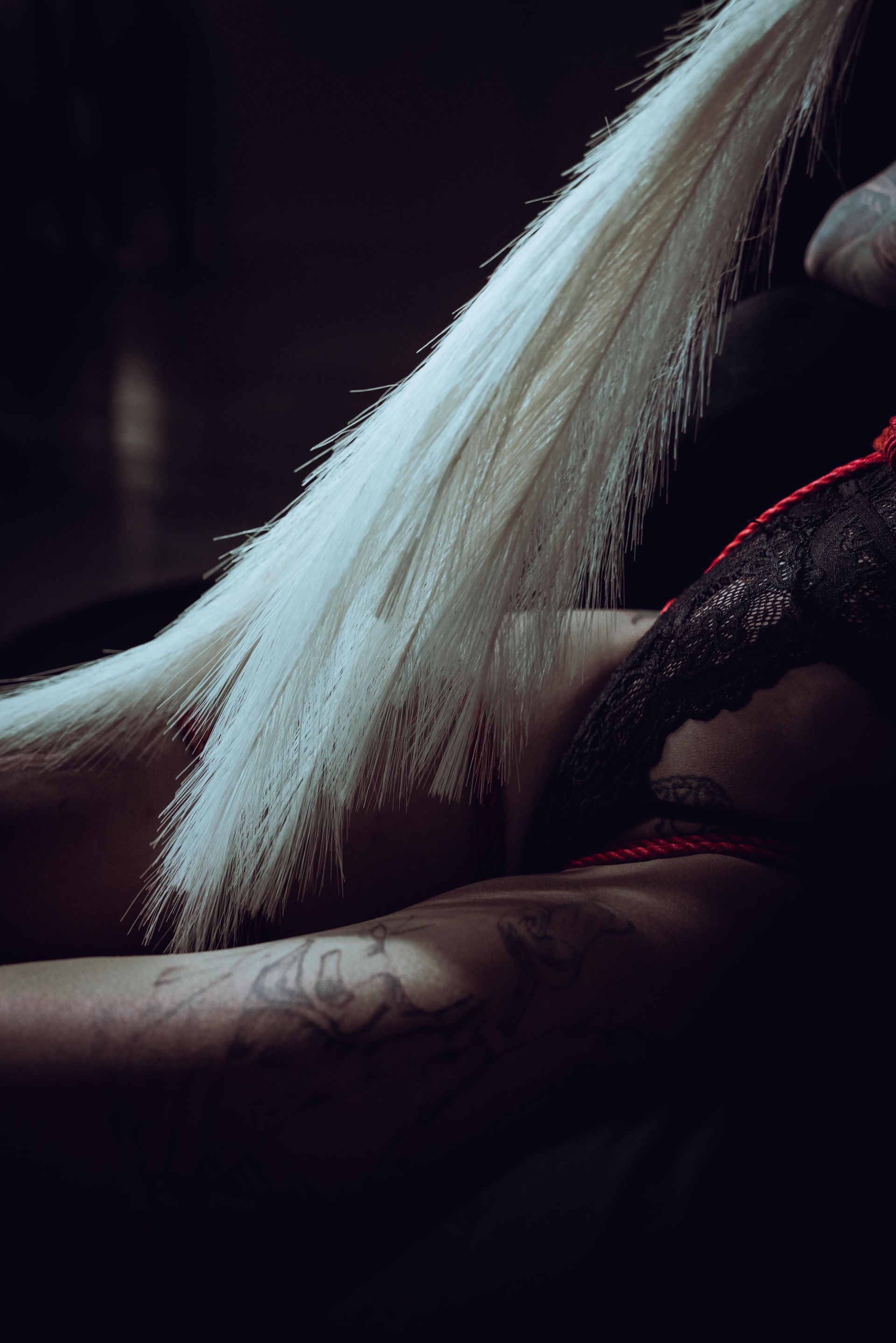 Back view of a person with a white plume, red lingerie, and arm tattoos, against a dark background.