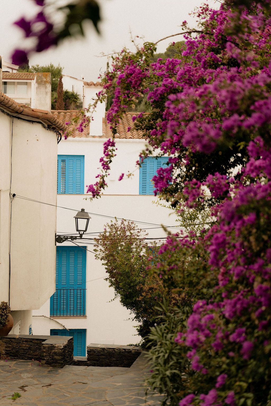 White buildings with blue shutters and vibrant purple bougainvillea in a European village.