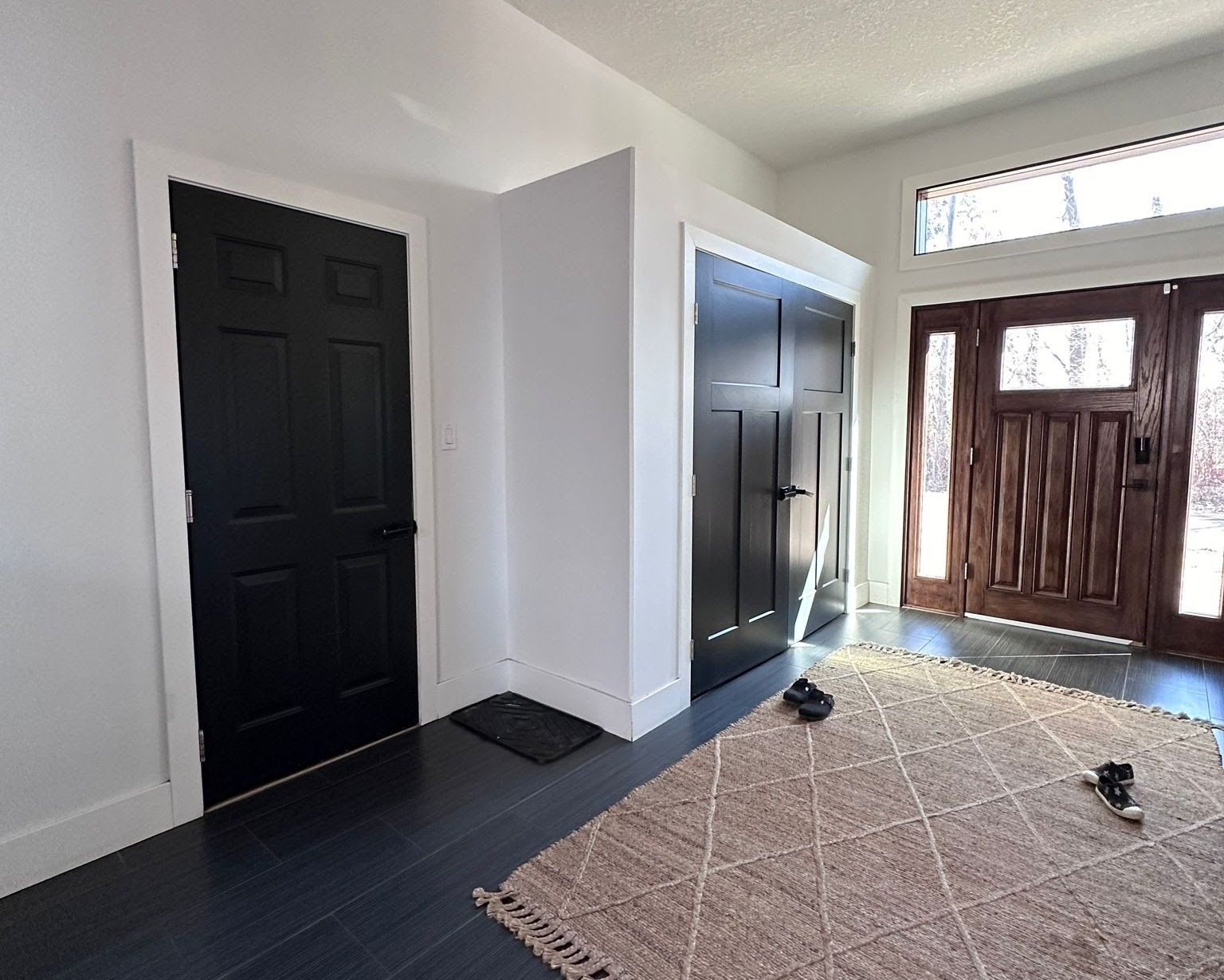Hallway with black doors, white walls, dark wood floor, and a rug. Sunlight shines through the front door.