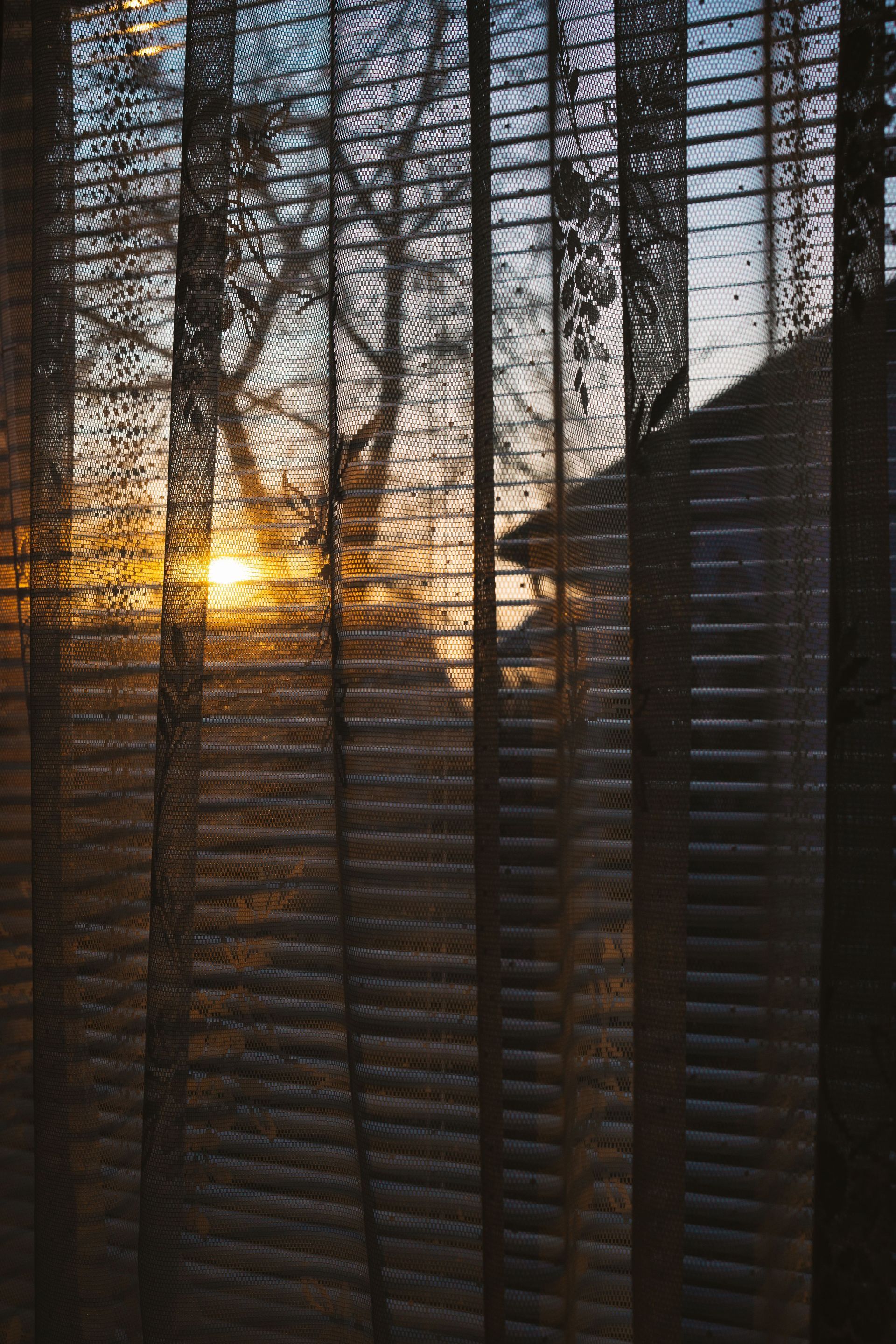 Sunset seen through window blinds and bare tree branches, with a dark silhouette in the foreground