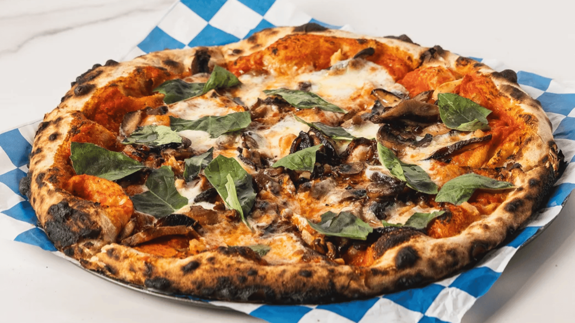 Mushroom Wood-fired pizza at Trevor’s Liquor Arcadia, E. Mayo, Paradise Valley