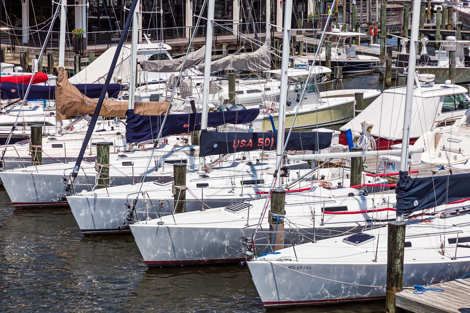 A row of sailboats are docked in a marina in Annapolis MD. Photo shoot by Craig Westerman