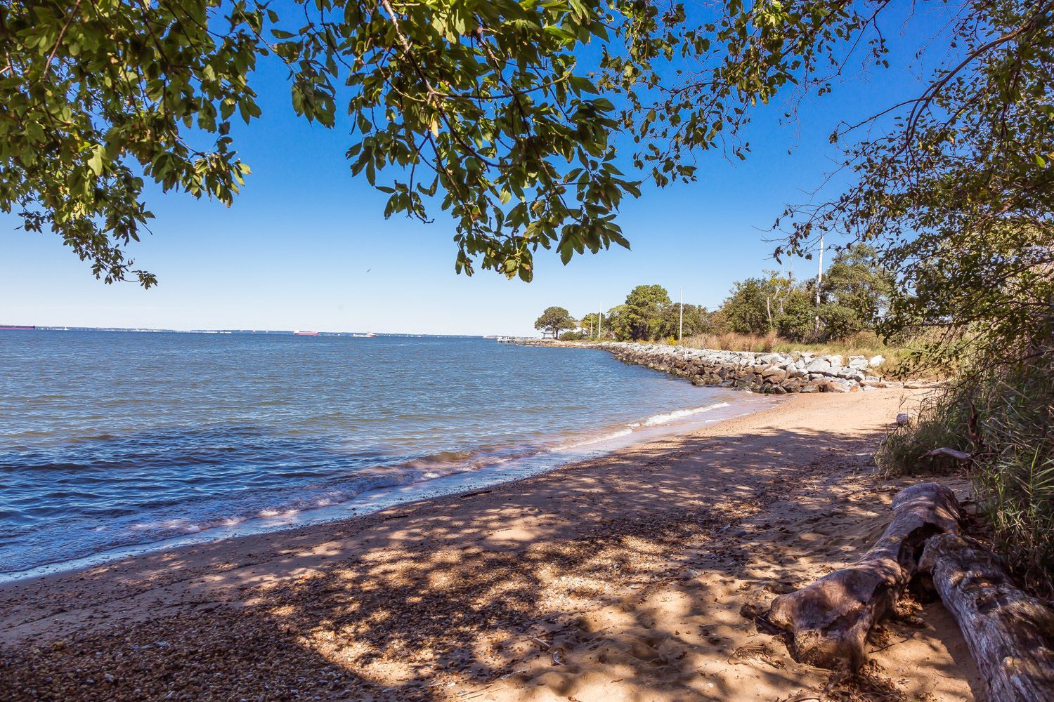 a beach with a large body of water in the background