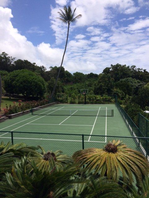 Tennis court surrounded by lush greenery and a tall palm tree under a cloudy blue sky.