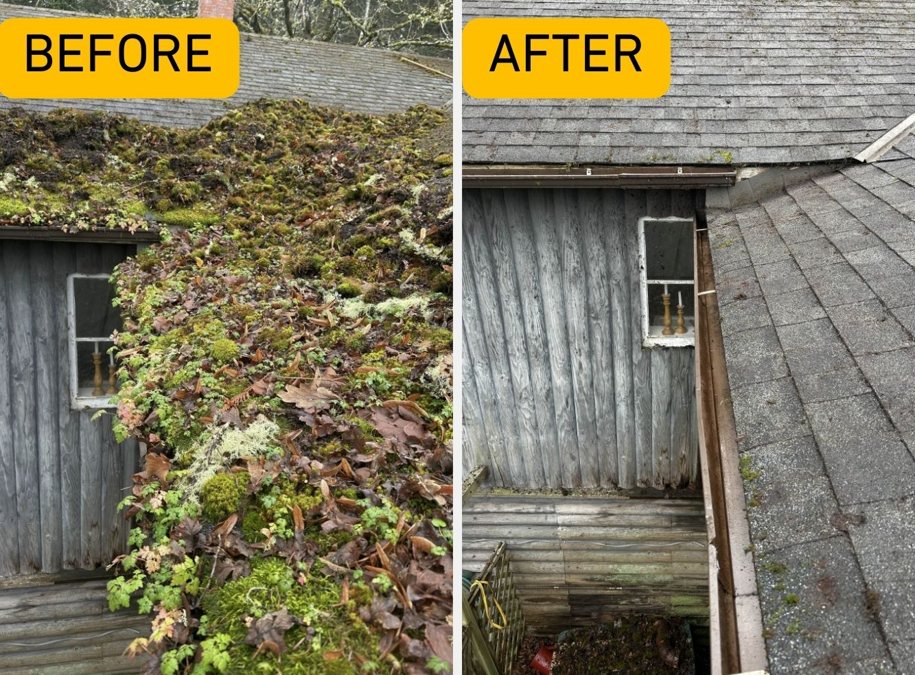 Before and after a roof and gutter cleaning on an extremely dirty residential roof