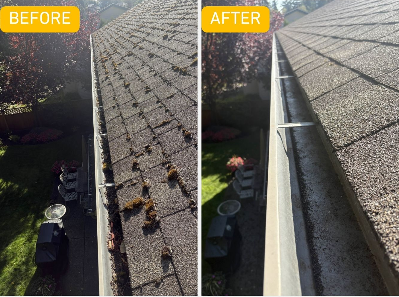 Before and after moss removal and gutter cleaning