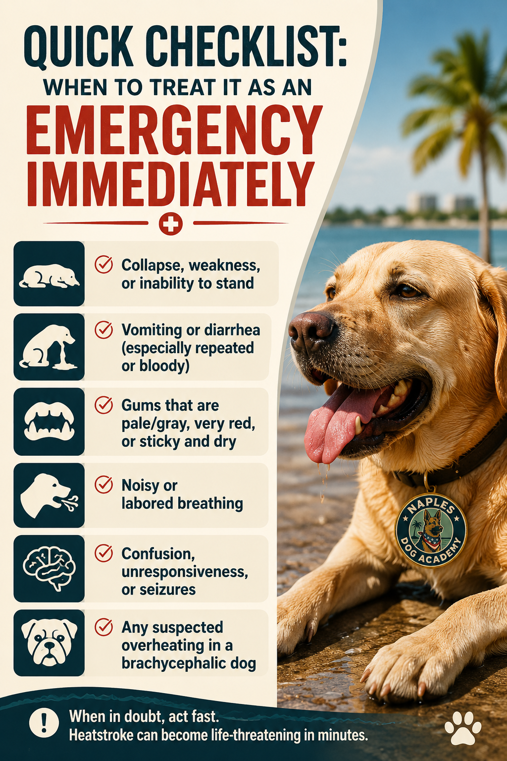 Dog next to a checklist poster about emergency symptoms, with bold red text and a silver water bowl.