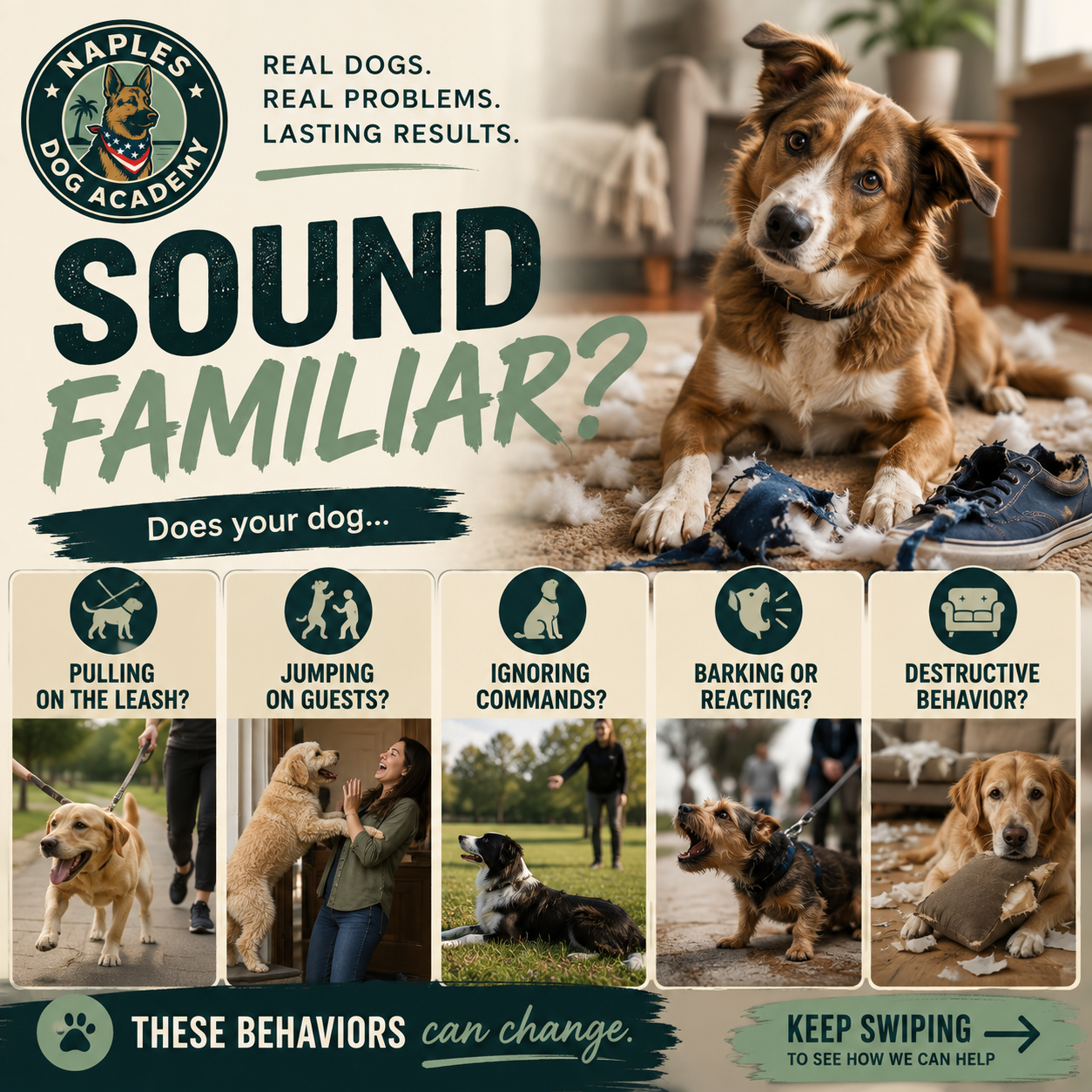 Dog training ad with a brown-and-white dog; “Sound familiar?” and behavior questions on a green background