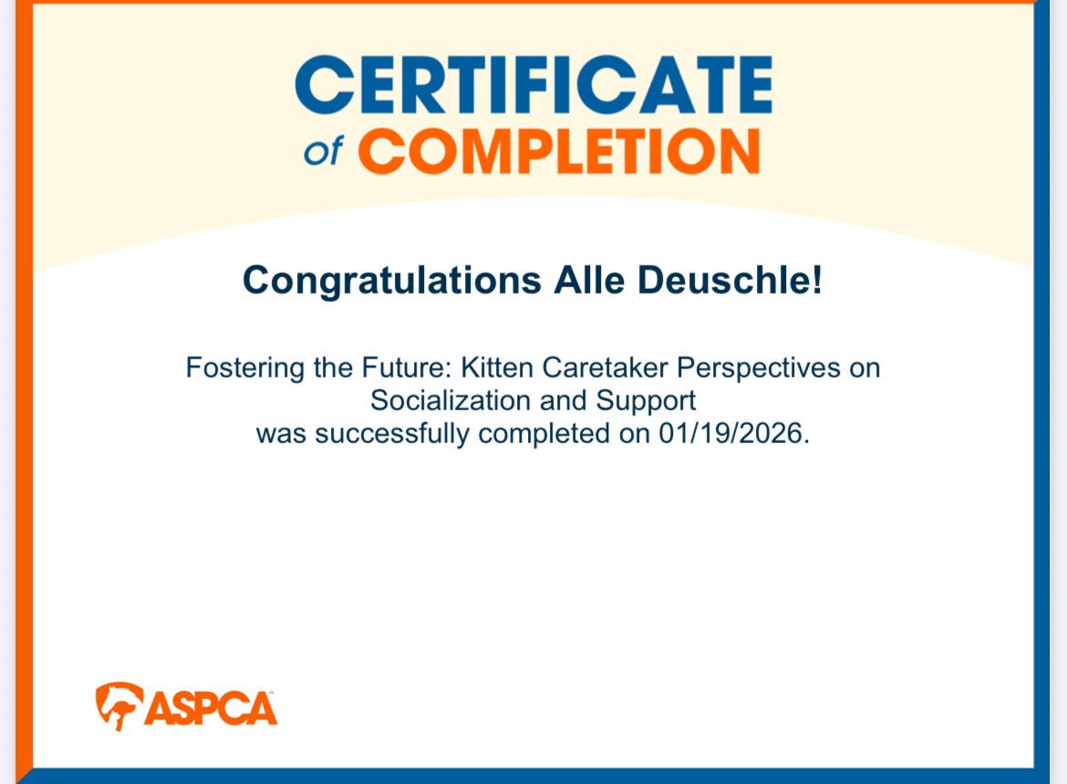 Certificate of completion for Alle Deuschle, ASPCA, for a kitten socialization and support course, completed on 01/19/2026.