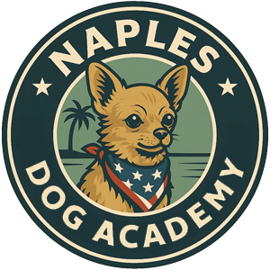 Naples Dog Academy logo: Chihuahua in patriotic bandana with palm tree and ocean.