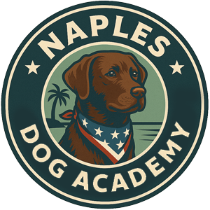 Logo: Brown dog with patriotic bandana in front of a coastal scene, text reads 
