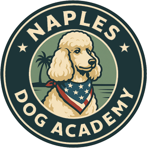 Naples Dog Academy logo: poodle wearing a bandana with a palm tree, blue and tan circle.