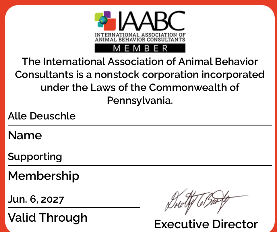 IAABC membership card with logo, name line, and valid through Jun. 6, 2027.