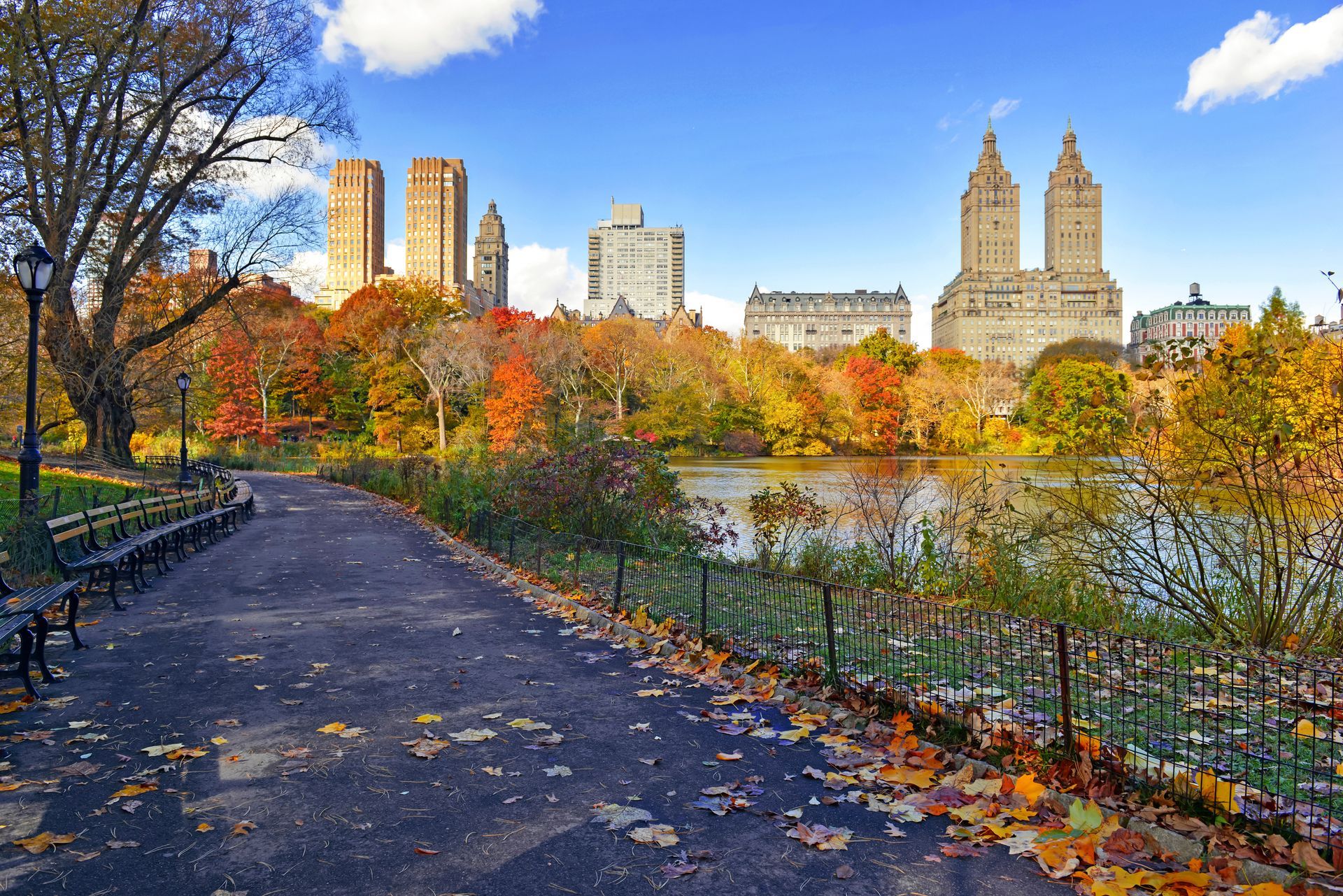 A path leading to a lake in a park with a city skyline in the background.