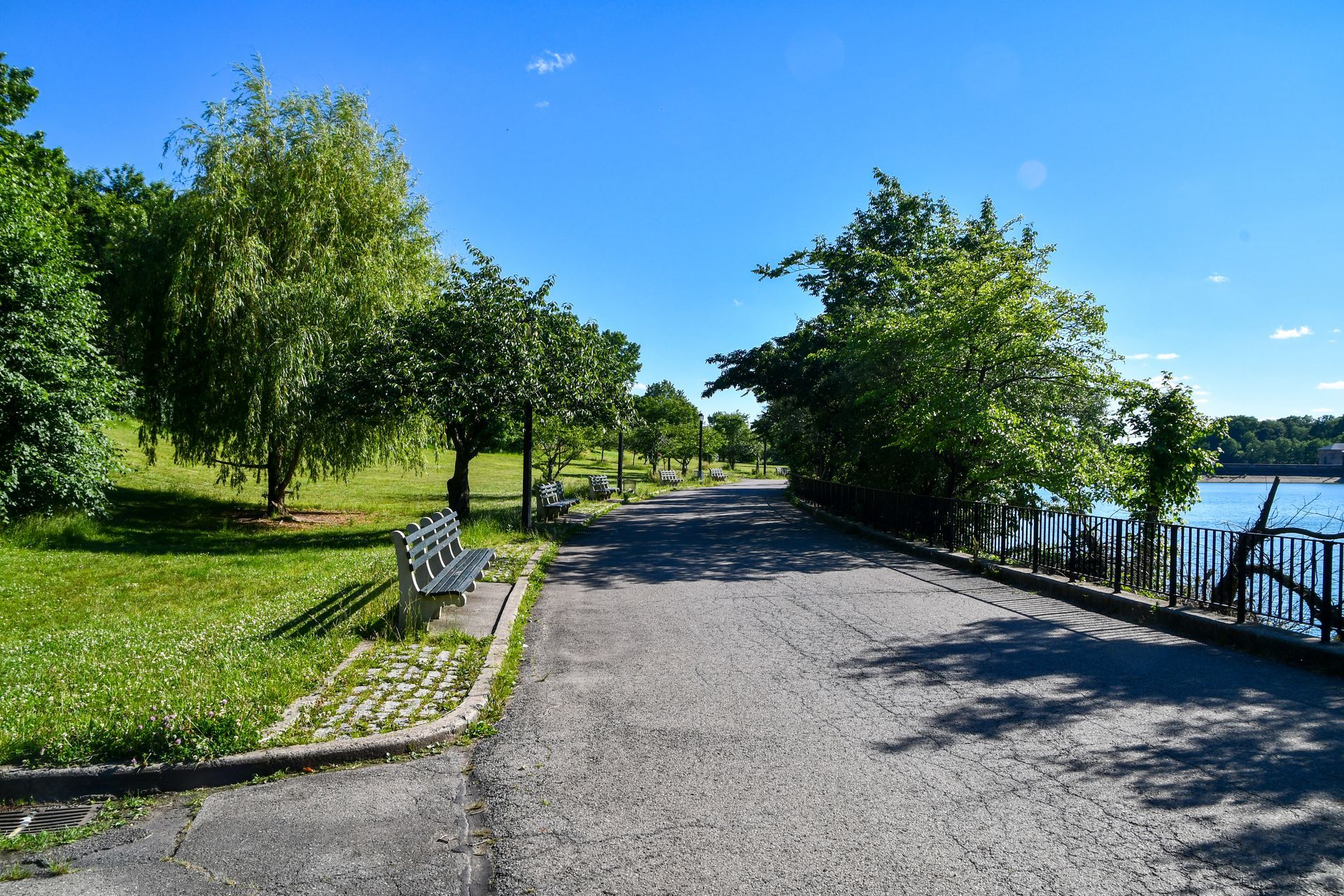 A path in a park with trees and a lake in the background.