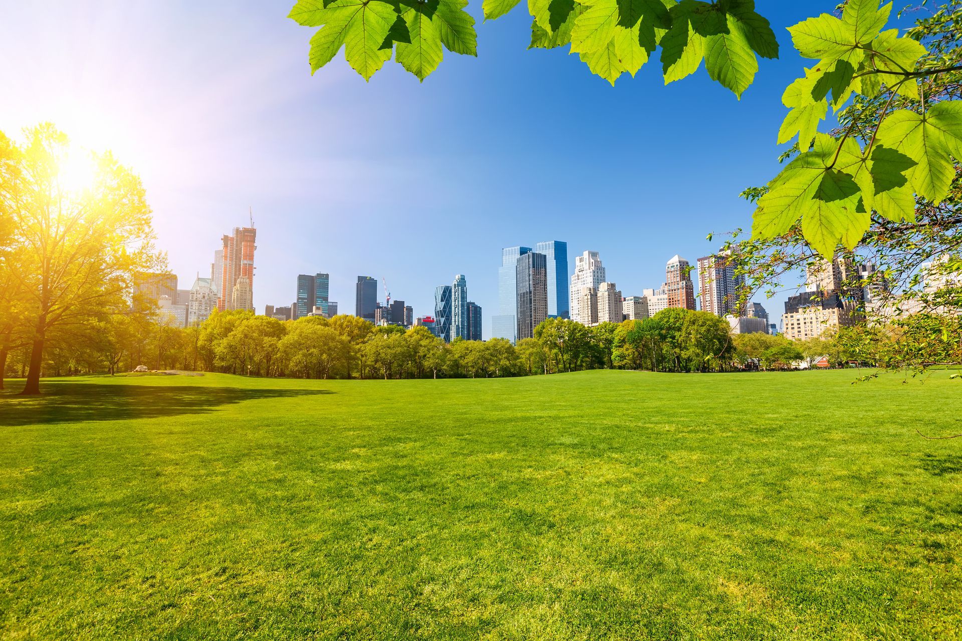 A park with a city skyline in the background and the sun shining through the trees.