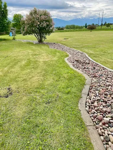 A winding stone-filled drainage ditch with concrete curbing cuts through a green lawn, leading toward a flowering tree.