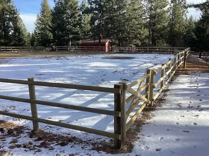 A wooden fence surrounds a snowy corral bordered by pine trees on a sunny day.