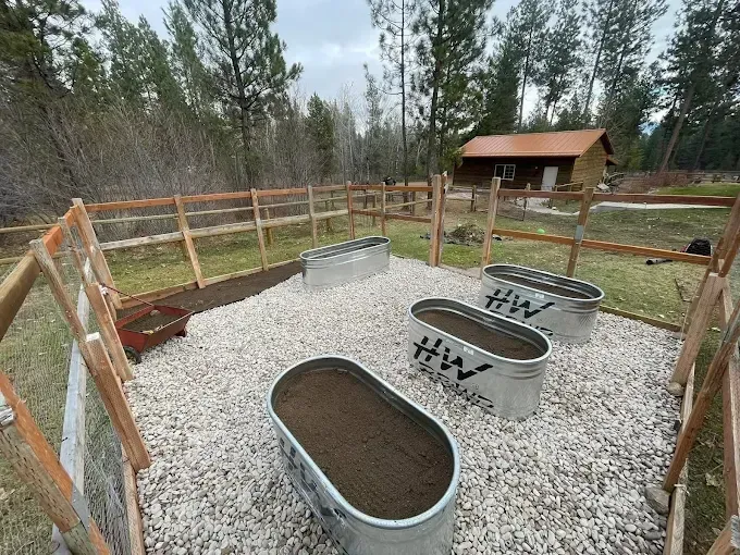 Three metal stock tank planters filled with soil sit in a gravel-covered garden enclosure with a wooden fence and cabin.