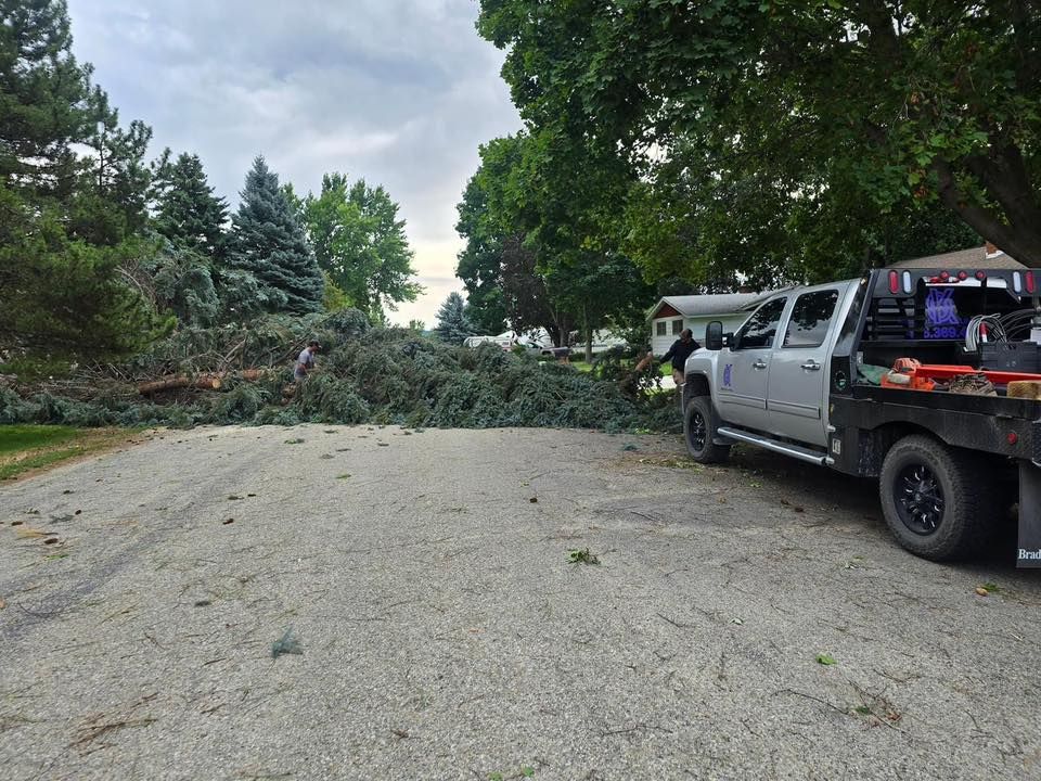 A large fallen tree blocks a gravel driveway next to a silver flatbed truck parked near green trees.