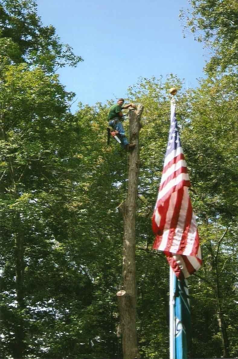 A Man On A Tree As High As The Flag Pole — Clark Tree Expert Company — Dagsboro, DE