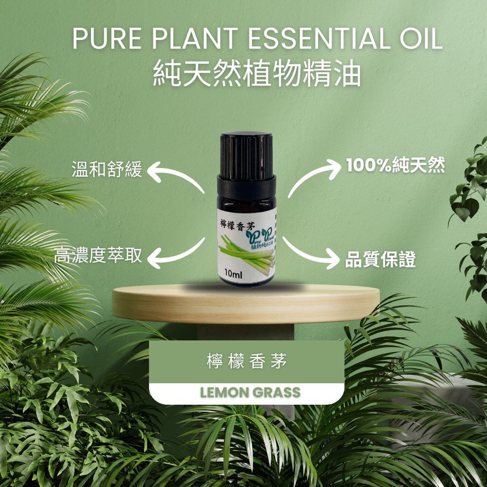 【PLANTA PURA】Aceite esencial de planta natural puro (limoncillo)