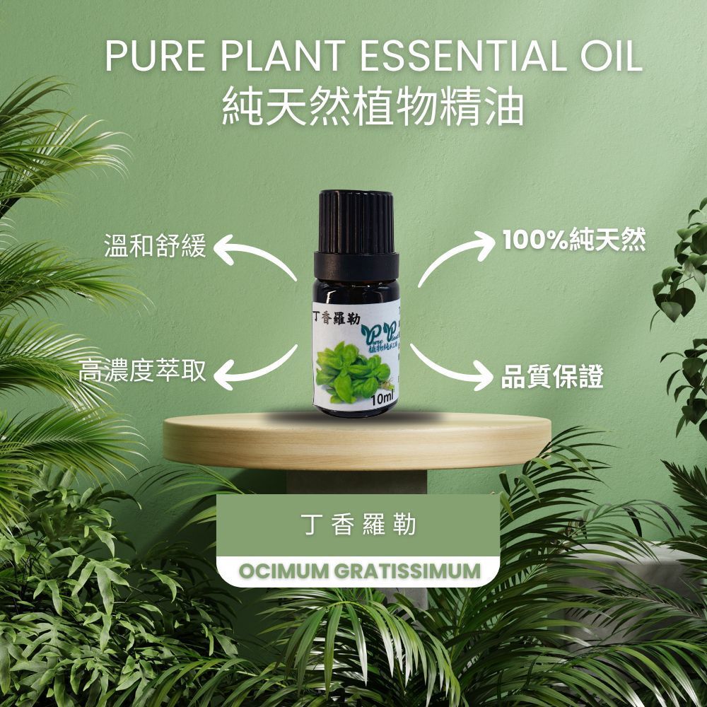 【PLANTA PURA】Aceite esencial de planta natural puro (clavo y albahaca)