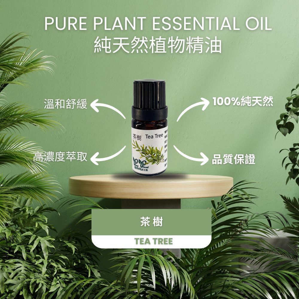 【PLANTA PURA】Aceite esencial de planta natural pura (árbol de té)