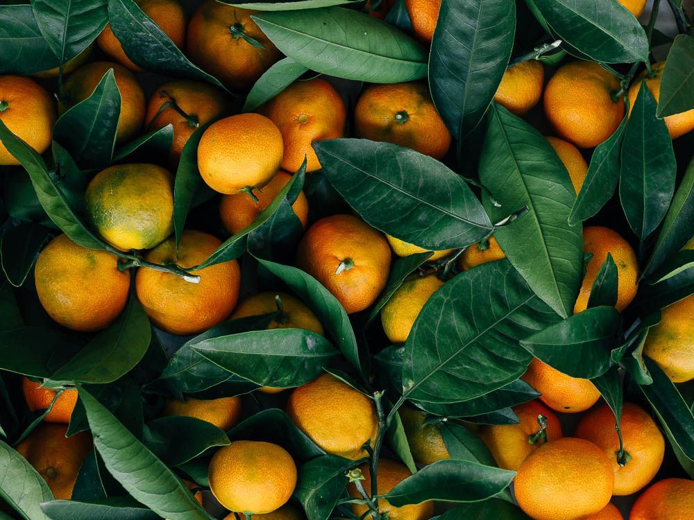 【PLANTA PURA】Aceite esencial vegetal natural puro (naranja dulce)