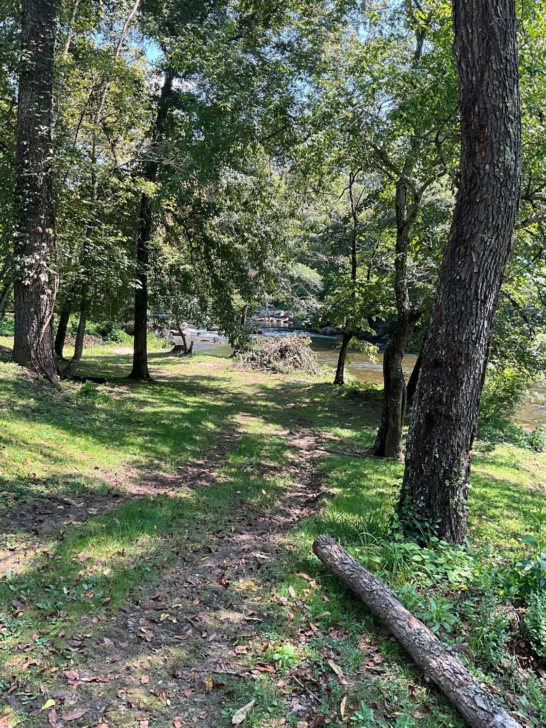 A muddy path leads through trees to a river. Sunlight filters through the green leaves.
