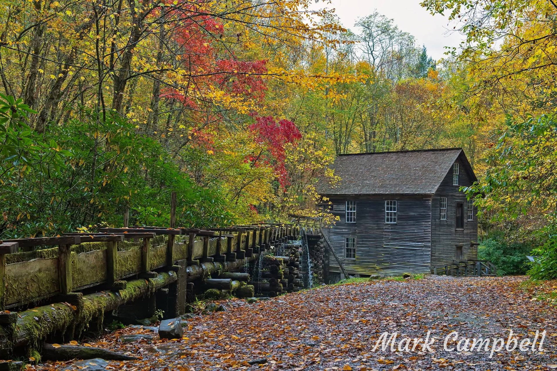 Rustic log cabin and water trough in autumn forest, colorful foliage, dirt path covered in leaves.