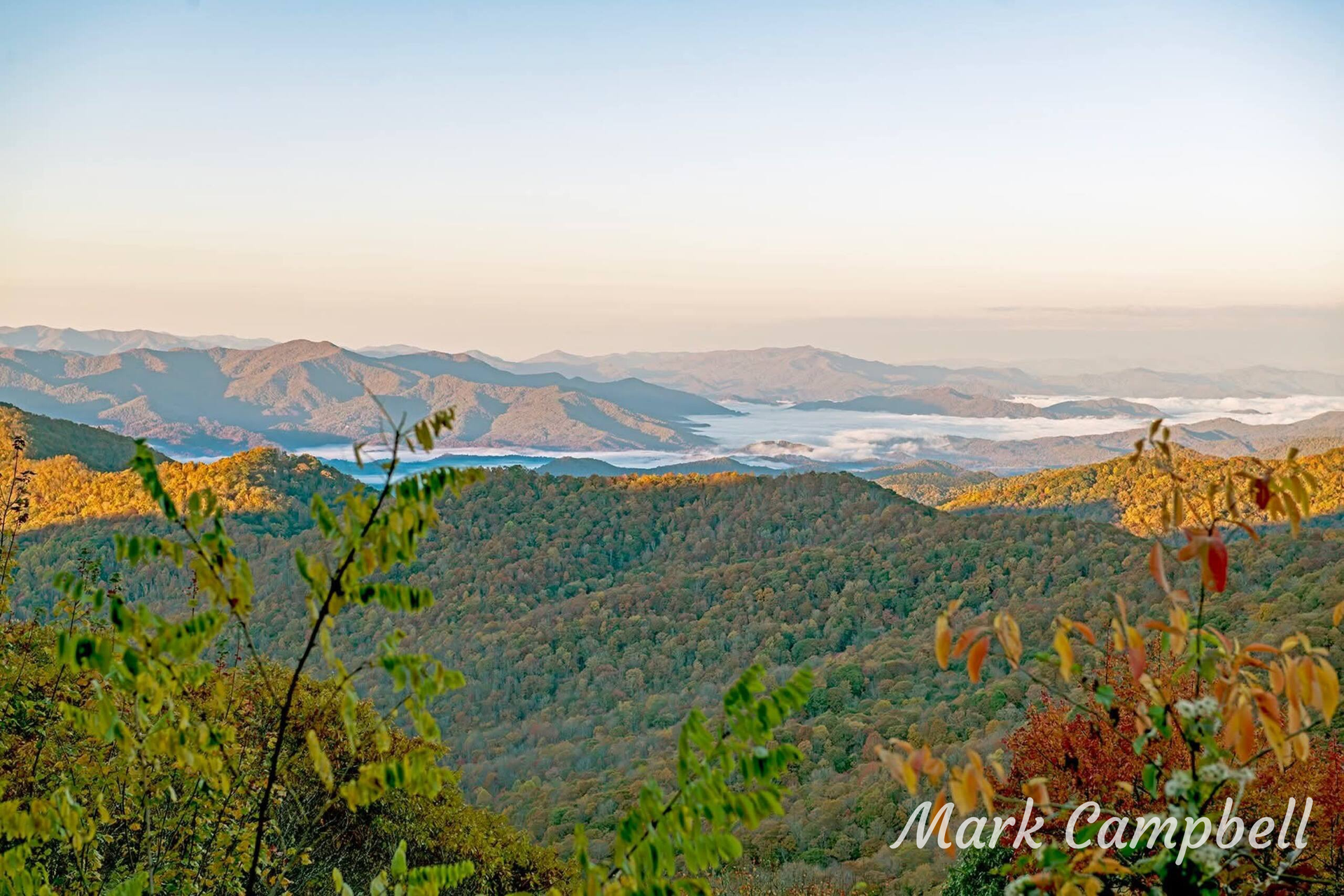 Mountain landscape with a hazy lake in the distance, viewed from a high vantage point, with tree foliage in the foreground.