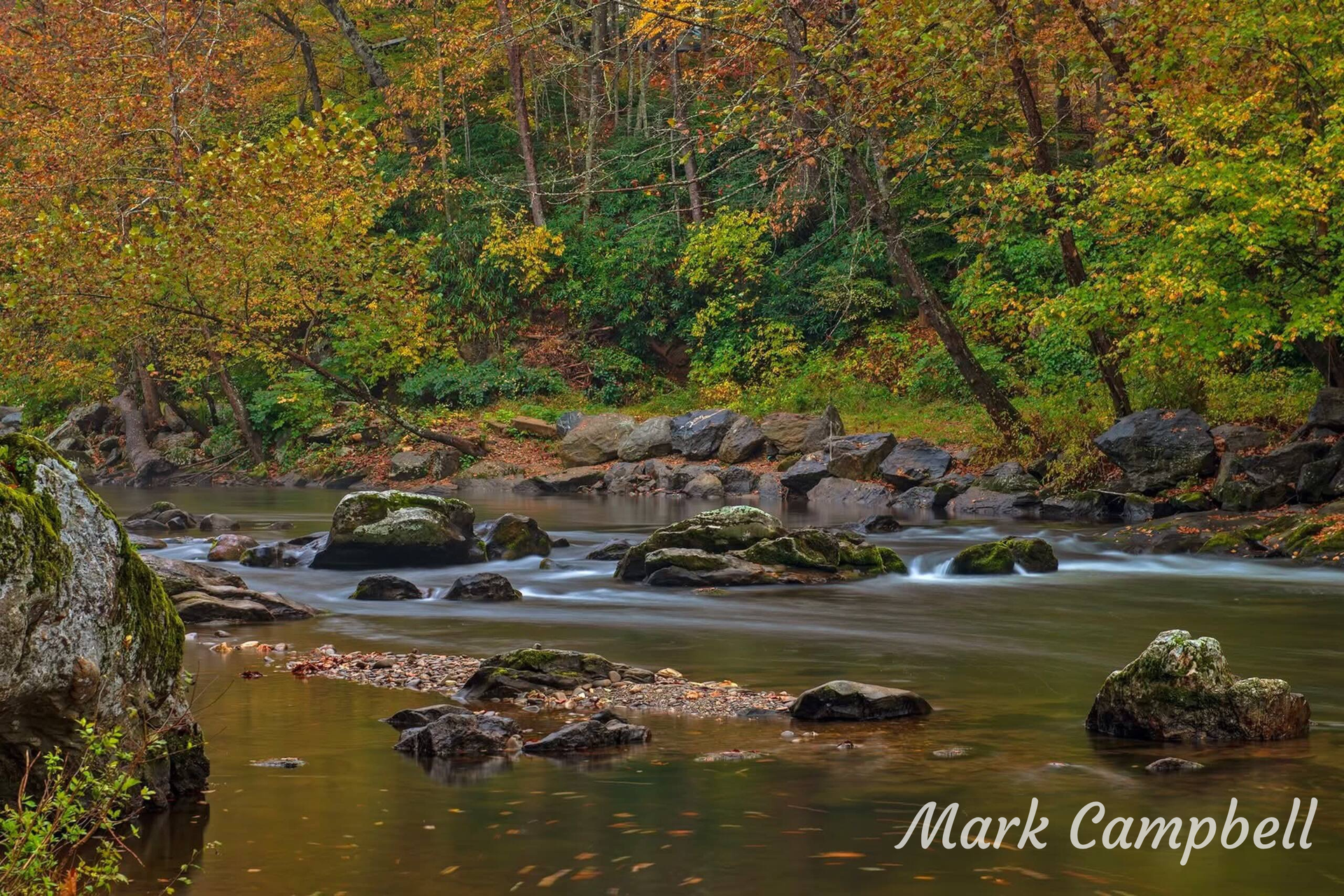 A river flows through a forest in autumn; gold and green foliage surround the water.
