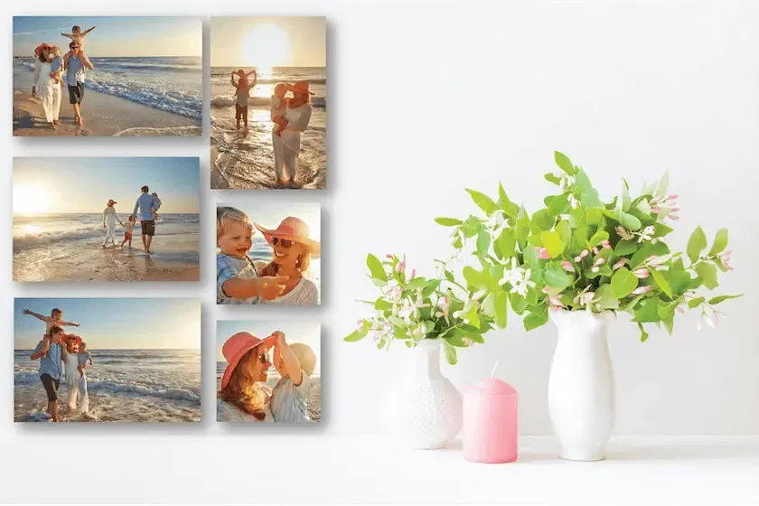 Vases with a plant in it next to pictures of people on the beach
