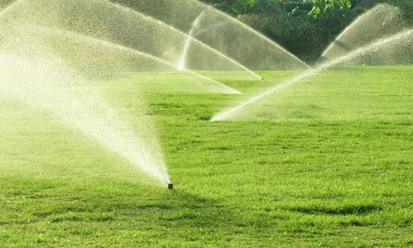 A row of sprinklers spraying water on a lush green field.