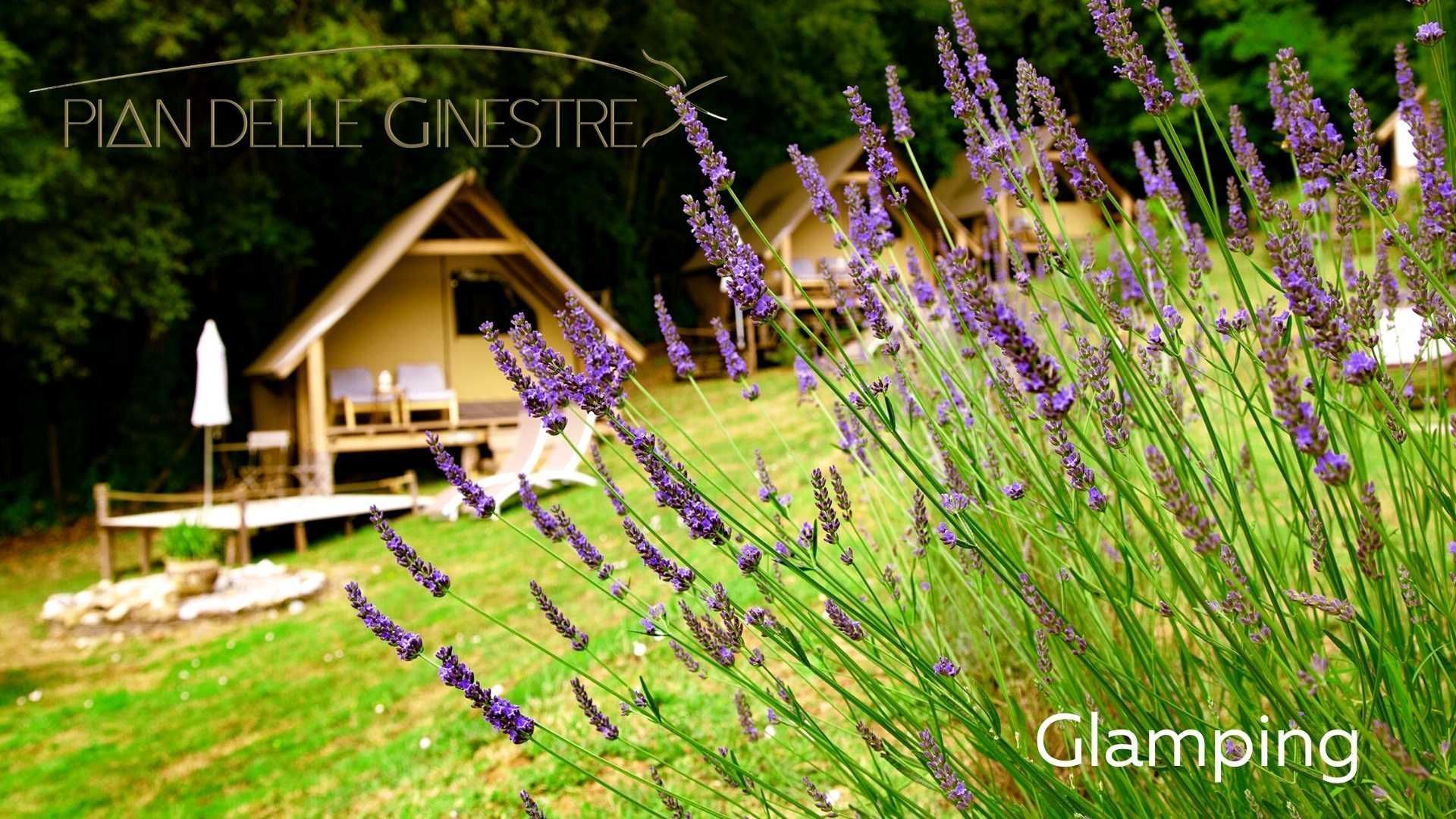 Photo Gallery della Glamp di Pian delle Ginestre