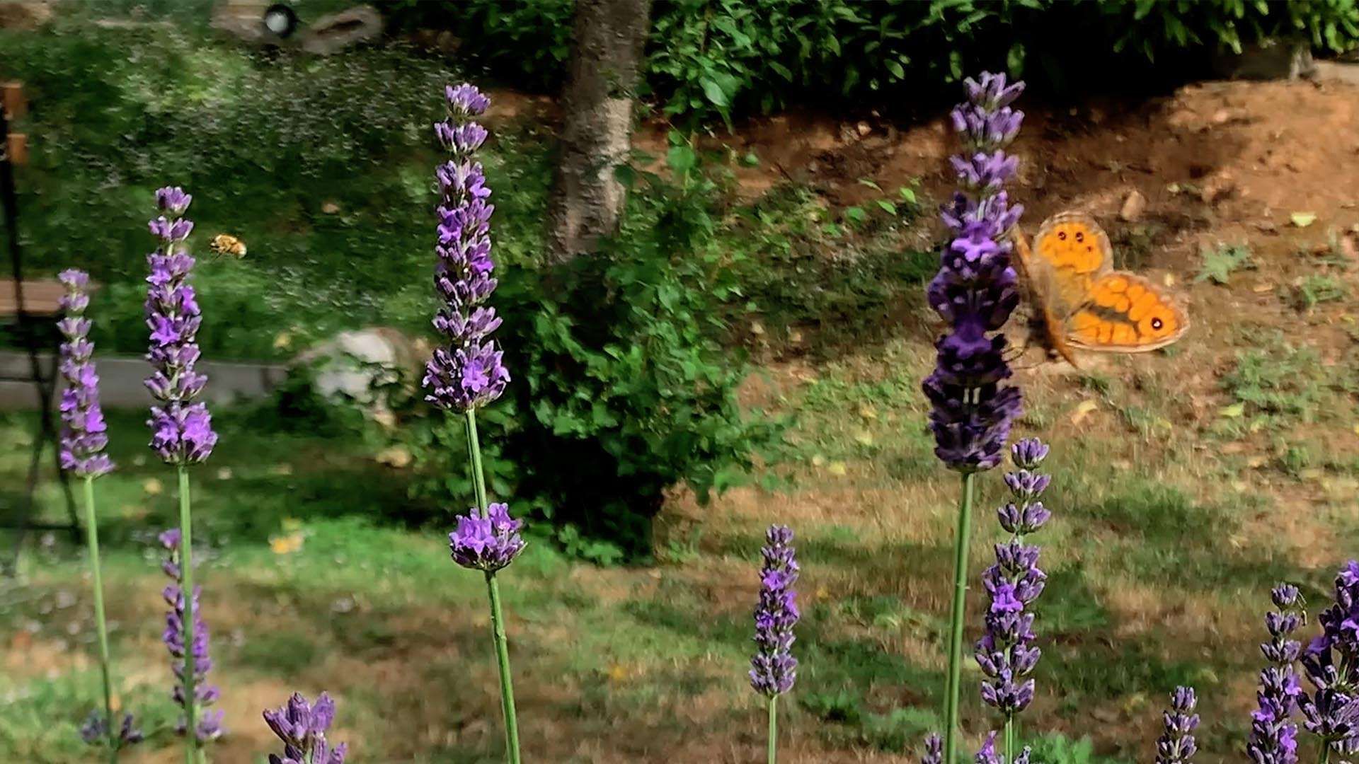 Natura e relax ti attendono al Glamping Pian delle Ginestre