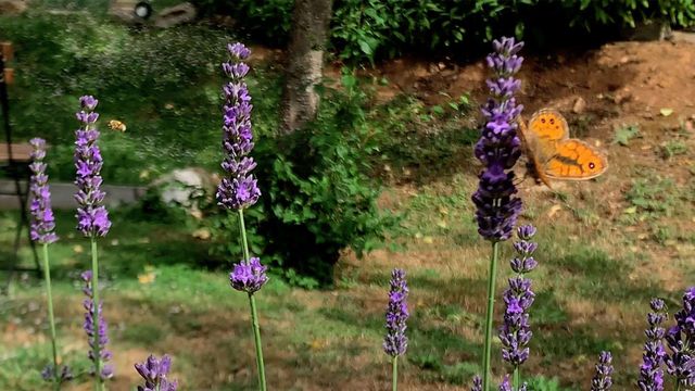 Naturaleza y relax te esperan en el Glamping Pian delle Ginestre