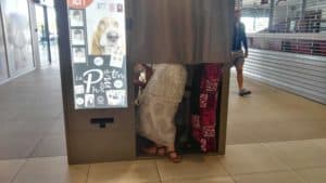 A person is peeking out of a booth in a mall.