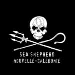 A skull and crossed trident are on a black background.