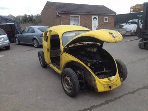 VW Beetle