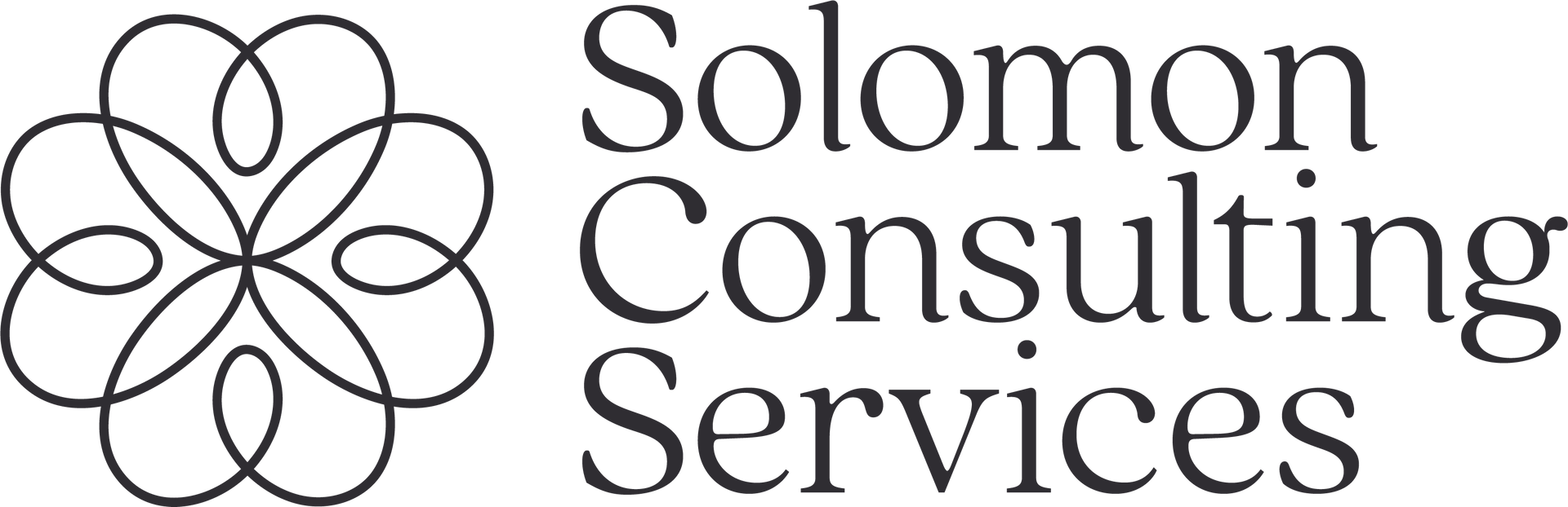 Solomon Consulting Rural Hospital Development Program