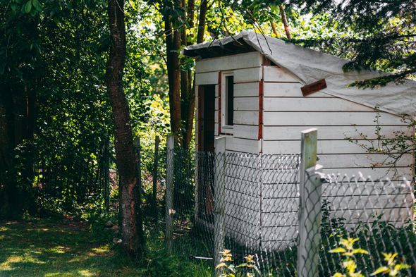 A small white wooden shed with a partially tarped roof, situated in a shaded, tree-filled area behind a wire fence.