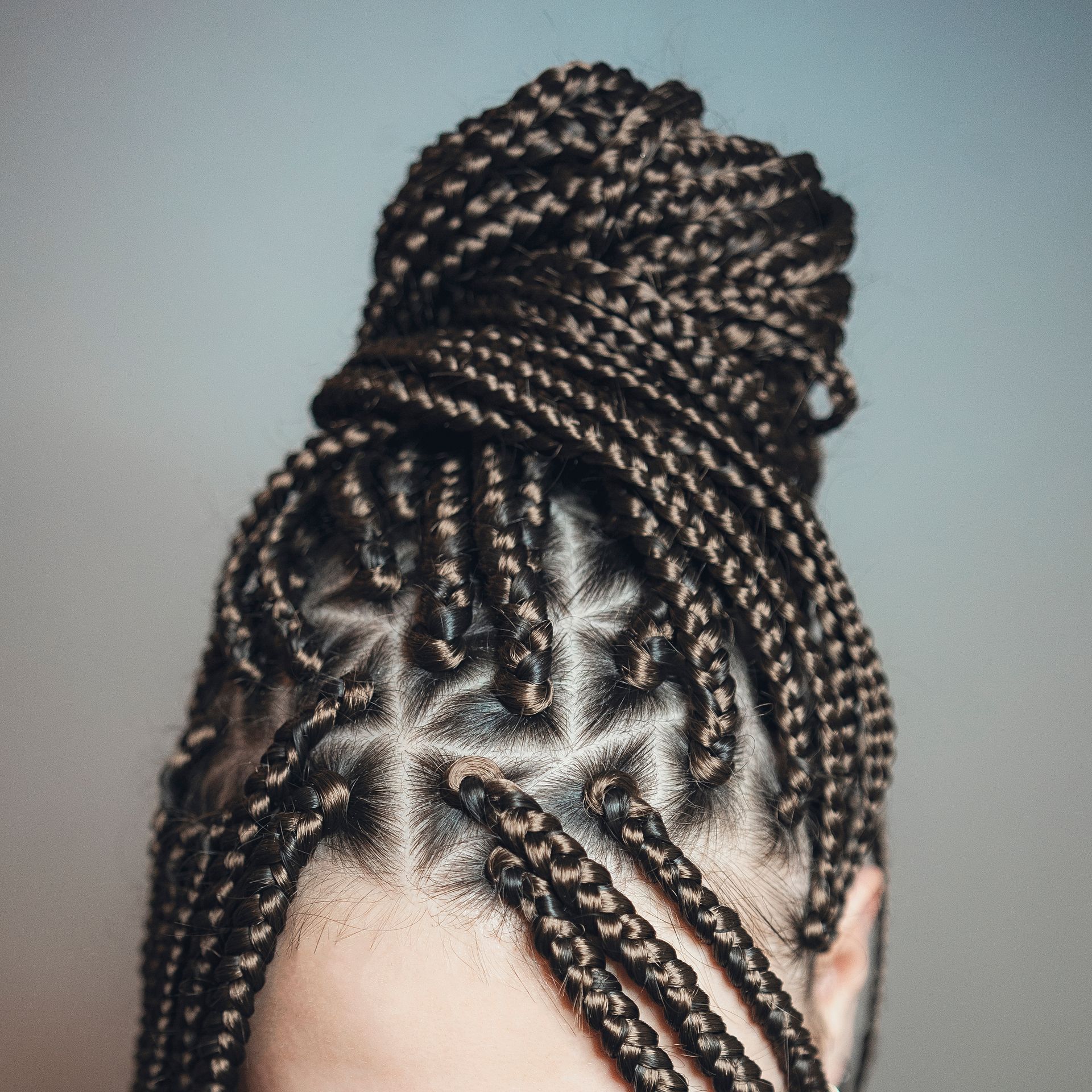 Close-up of braided hair styled in a high bun with intricate cornrows Close-up of braided hair styled in a high bun with intricate cornrows