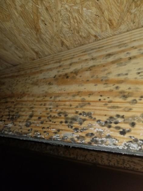 Mold remediation sign
